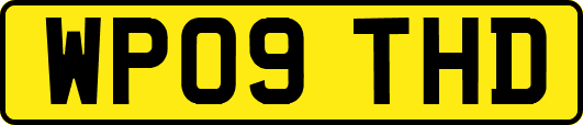 WP09THD