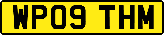 WP09THM
