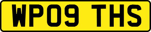 WP09THS