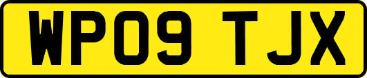 WP09TJX