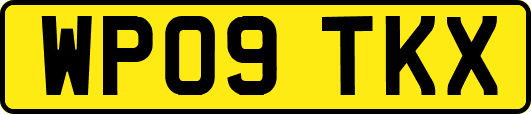 WP09TKX