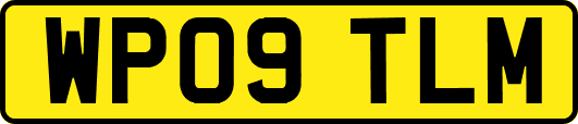 WP09TLM
