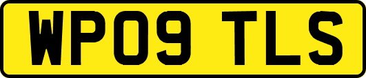WP09TLS