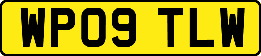 WP09TLW