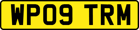 WP09TRM