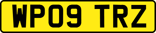 WP09TRZ