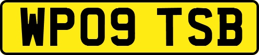 WP09TSB