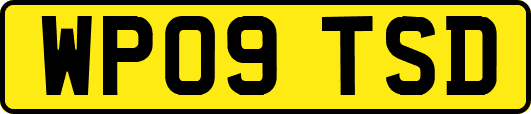 WP09TSD