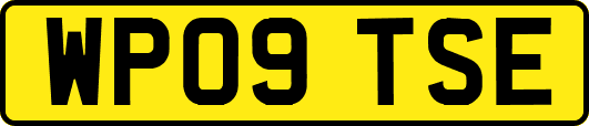 WP09TSE