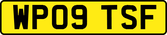 WP09TSF