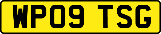 WP09TSG