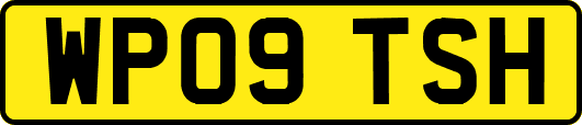 WP09TSH