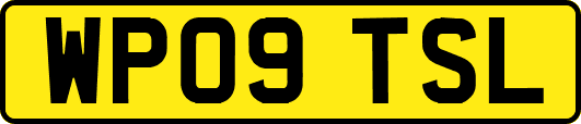 WP09TSL
