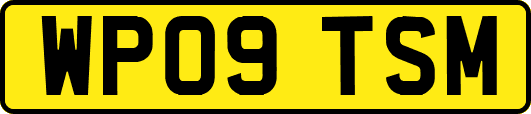 WP09TSM