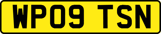 WP09TSN