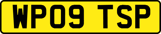WP09TSP