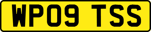 WP09TSS
