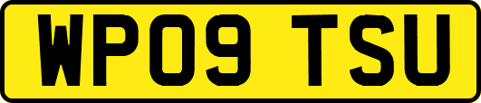 WP09TSU