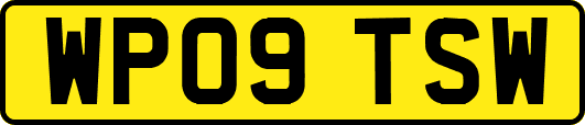 WP09TSW
