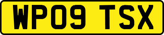 WP09TSX