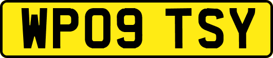 WP09TSY