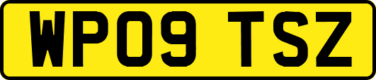 WP09TSZ