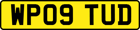WP09TUD