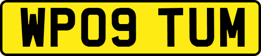 WP09TUM