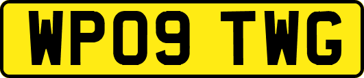 WP09TWG