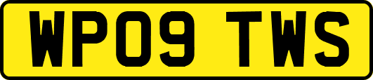 WP09TWS