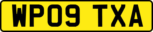 WP09TXA