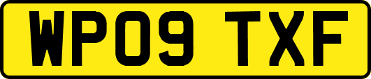 WP09TXF