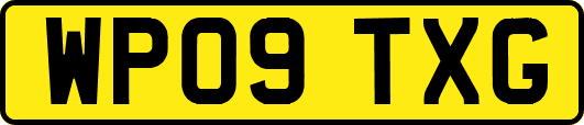 WP09TXG