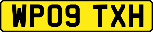 WP09TXH