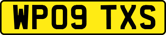WP09TXS