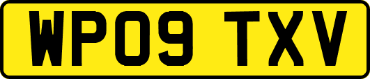WP09TXV