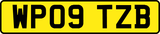 WP09TZB