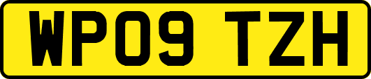 WP09TZH