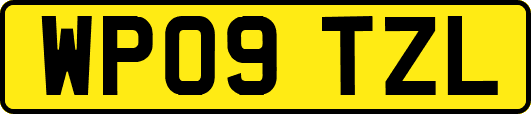 WP09TZL