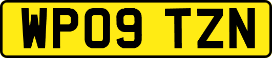 WP09TZN