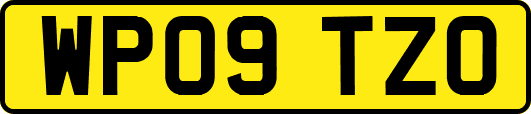WP09TZO