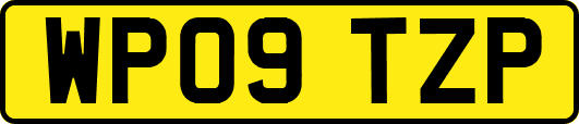 WP09TZP