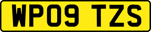WP09TZS