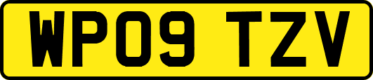WP09TZV