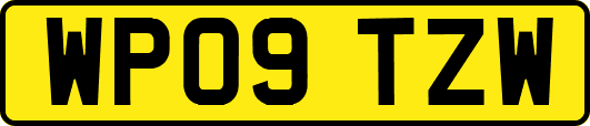 WP09TZW