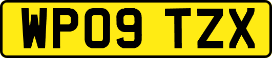 WP09TZX