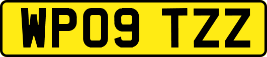 WP09TZZ