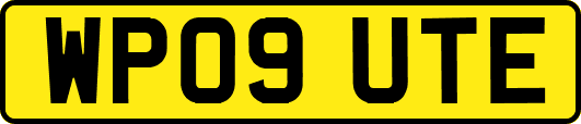 WP09UTE
