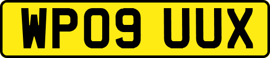 WP09UUX