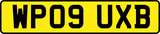 WP09UXB